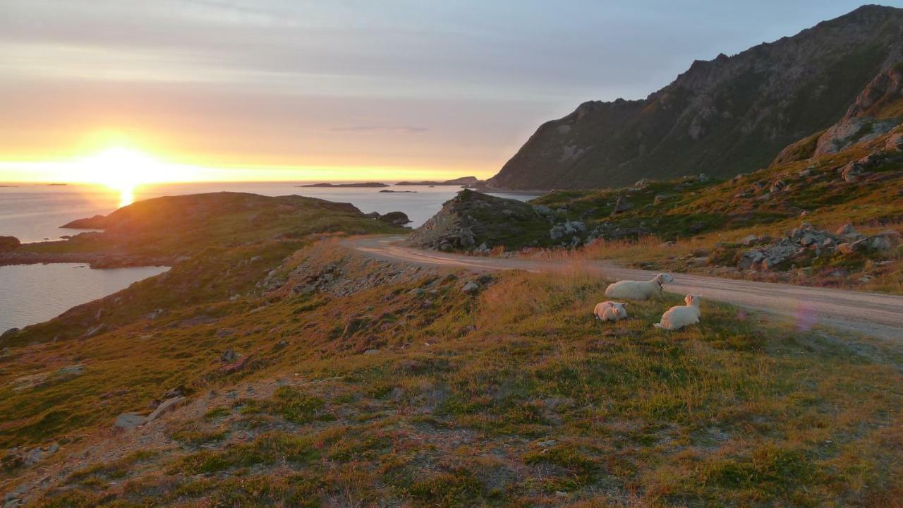 Nyksundrom, Nyksund Hotel ภายนอก รูปภาพ